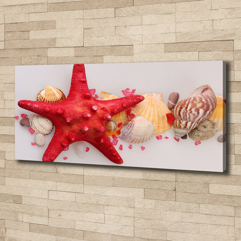 Starfish And Shells - Wrapped Canvas Print