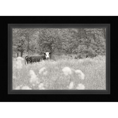 «Summer Farm II BW» par Sue Schlabach - impression encadrée