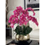 Pot à tiges d'orchidée Roberi-293210173-286301786
