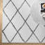 Tapis blanc à poils longs Audet-1072681127