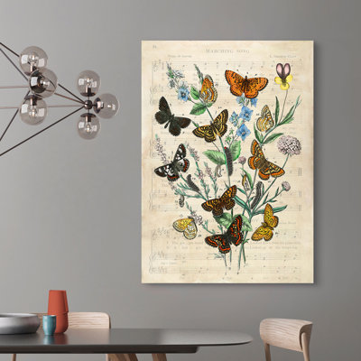 European Butterflies, After Kirby by Stef Lamanche - Wrapped Canvas Print