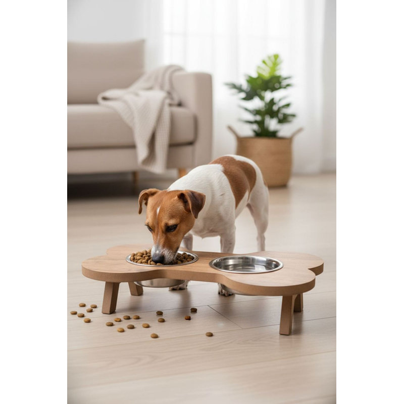 Bol pour nourriture pour animaux