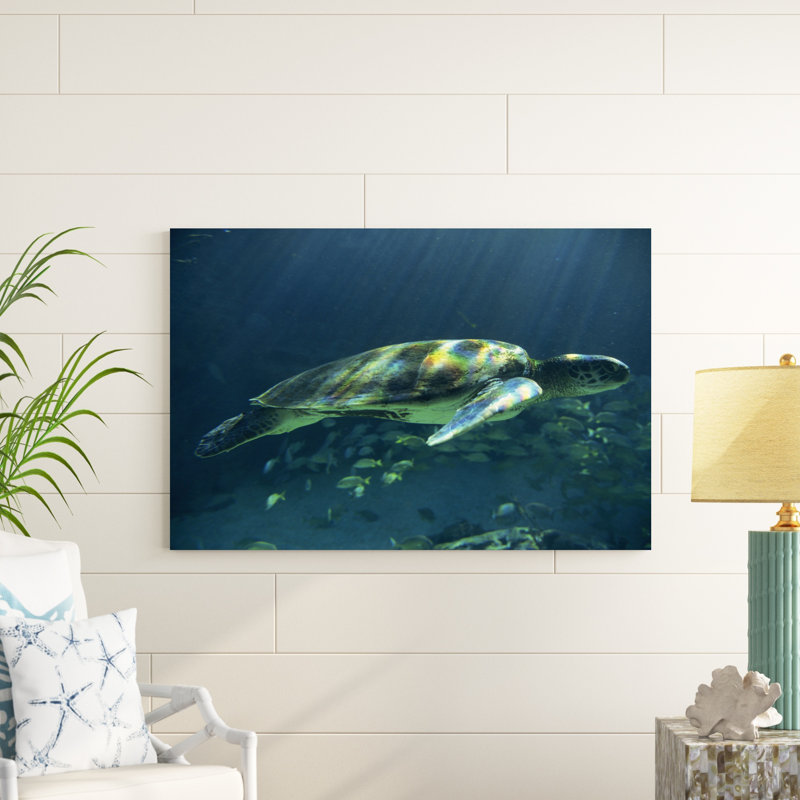 Tortues de mer Égée I, H 32 po x l 48 po x P 1 po
