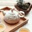 China Floral Teapot Set