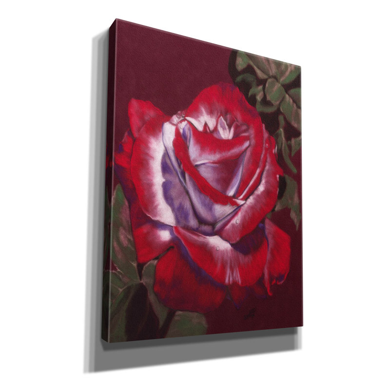 'Ruby' by Barbara Keith, Canvas Wall Art, 16" H x 12" W x 0.75" D