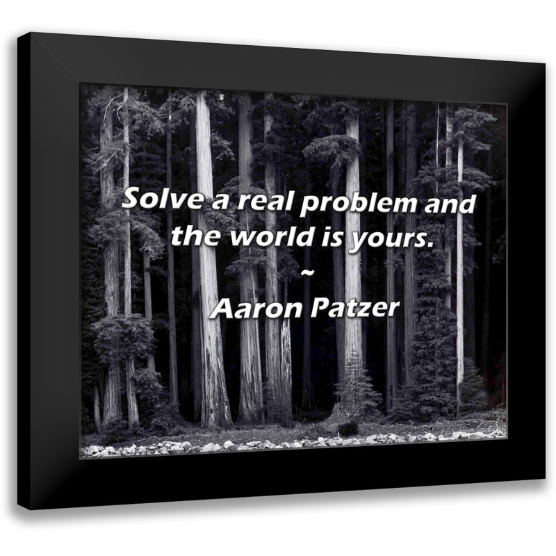 Aaron Patzer Quote: Solve a real problem and the world is yours.