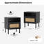 Aimara Rectangular Nightstand with Rattan Door-175532742-146427998