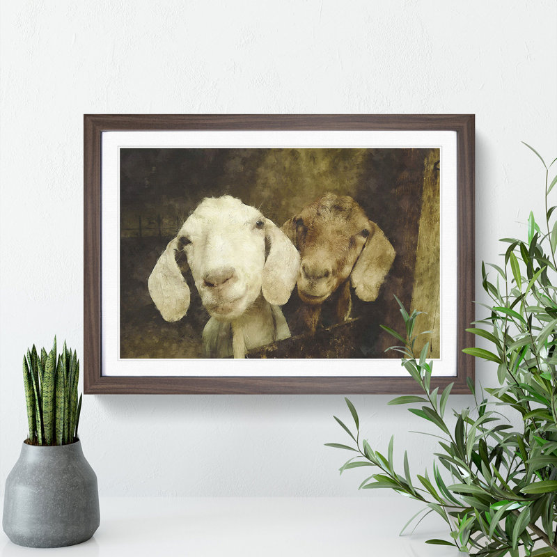 Pair of Goats - Framed Print, 36cm H x 48cm W x 2cm D, Walnut Framed
