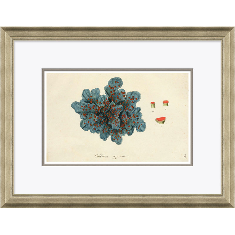 Blue Coral Giclee Print by Paul Cezanne