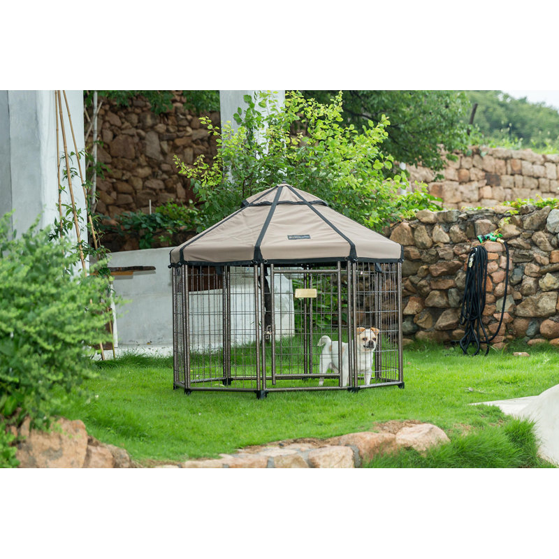 Chenil pour chien modulaire et parc avec abri pour animaux - abri pour animaux intérieur, extérieur et portable, 3 pi, Brun
