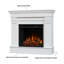 Chateau 41" Electric Fireplace by Real Flame-935146085