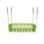 Lime tropicale