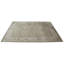 Oriental Area Rug