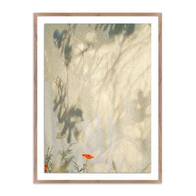 Entertain the Thought, no.05 Framed Photographic Print