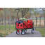 Chariot de plage pliable-114400064