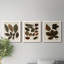 Autumnal Leaves I - Ensemble de 3 peintures sur toile encadrées-1075247884-1075247885
