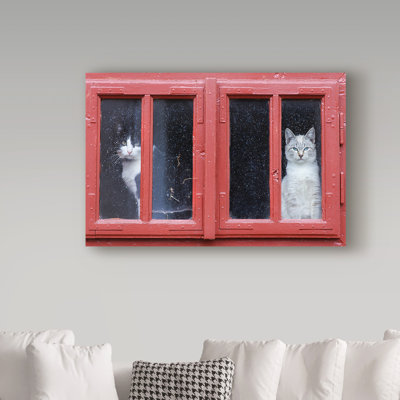 Art mural sur toile tendue - Sorin Onisor «Room With A View Cats», art mural pour salon, chambre à coucher ou bureau - 12 x 19