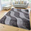 Viva Grey-978402905