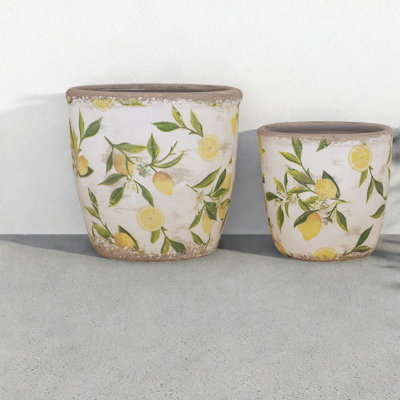 Vibrant Ceramic Planters With Lemon Motif, Farmhouse Style For Home