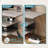Brisna 55" TV Stand, Modern Entertainment Center with Power Outlets LED and Drawer-1719253832