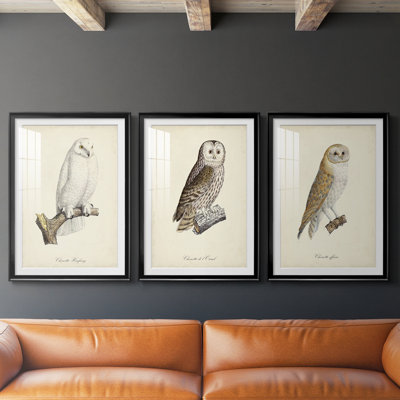 French Owls IV - reproduction sur mesure encadrée de qualité supérieure - 3 pièces