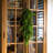 3Ft. Artificial Real Touch Norfolk Island Pine Teardrop With Natural Look