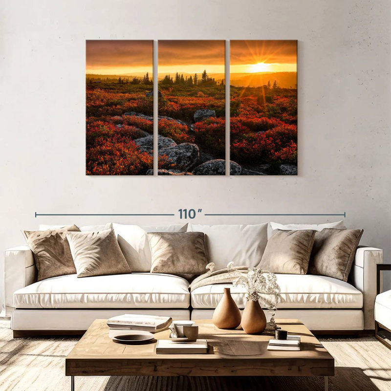 Alvord Dolly Sods Sunset, H 48 po x l 74 po
