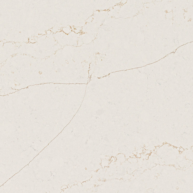 Valor Gold poli, Blanc / Doré