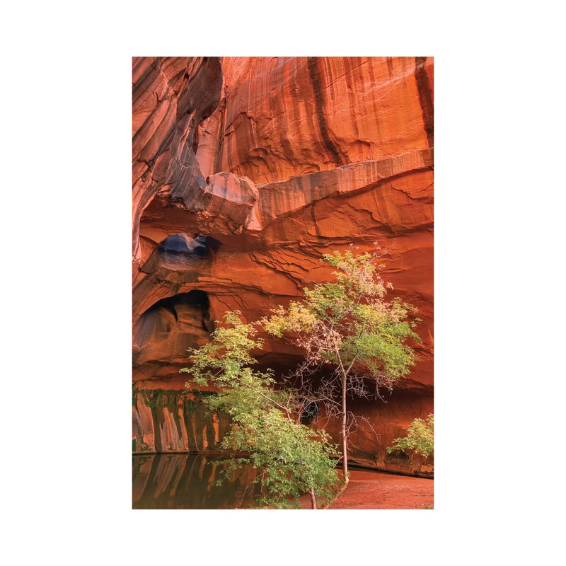 Neon Canyon III by Alan Majchrowicz - Wrapped Canvas Gallery-Wrapped Canvas Giclée, 101.6 cm H x 66.04 cm W x 3.175 cm D