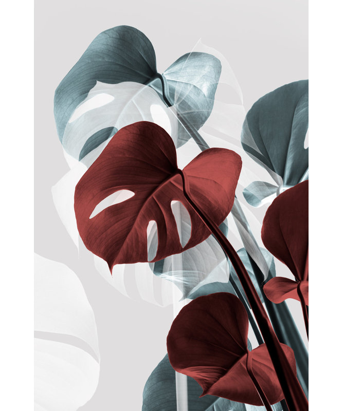 Wrapped Canvas Print, 76.2 cm H x 50.8 cm W
