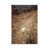 Wrapped Canvas