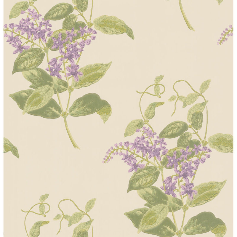 Anthology Madras Violet Floral Wallpaper Roll, Olive/Lavender