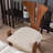 Beige Solid back side Chair(Set of 2)