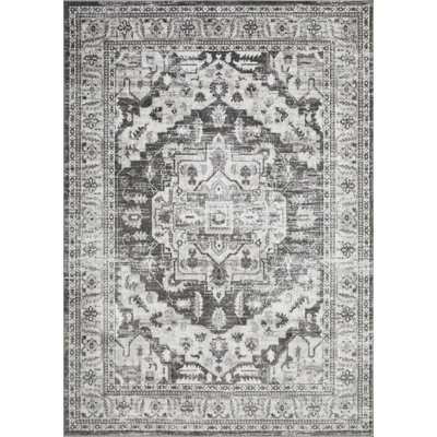 Raghdah Oriental Indoor Rug