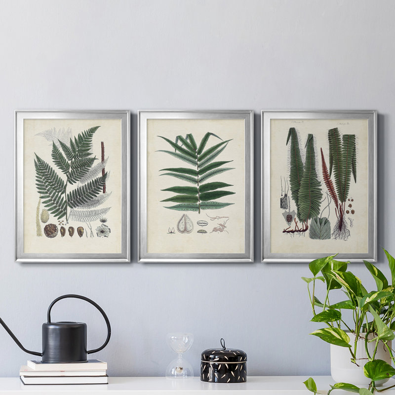 «Ferns IV», reproduction encadrée de qualité supérieure - prête à être accrochée, H 30,5 po x l 67,5 po x P 1 po