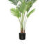 Faux palmier Areca dans un pot noir-252935534