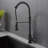 FB WERFY Pull Down Kitchen Faucet-69051061