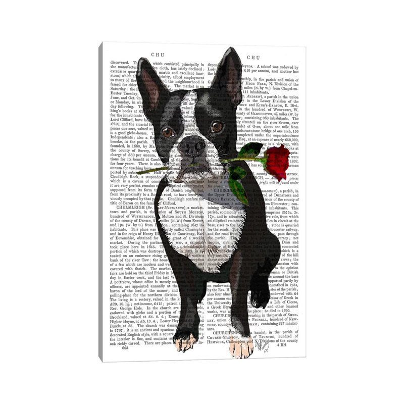Boston Terrier With Rose In Mouth by Fab Funky - Wrapped Canvas Painting, 20.32 cm H x 30.48 cm W