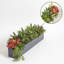 PLANT 27IN SUCCULENT ARRANGEMENT, GRAY POT-220848585