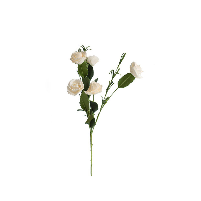 Tige roses