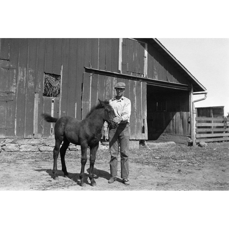 Farmer with foal in barnyard 1935, retro Wall Art on Canvas, 30cm H x 46cm W