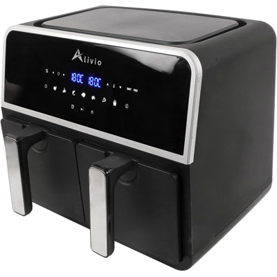 Ivy Bronx 9 L Basket Air Fryer