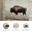 Brutus Wrapped Canvas Print