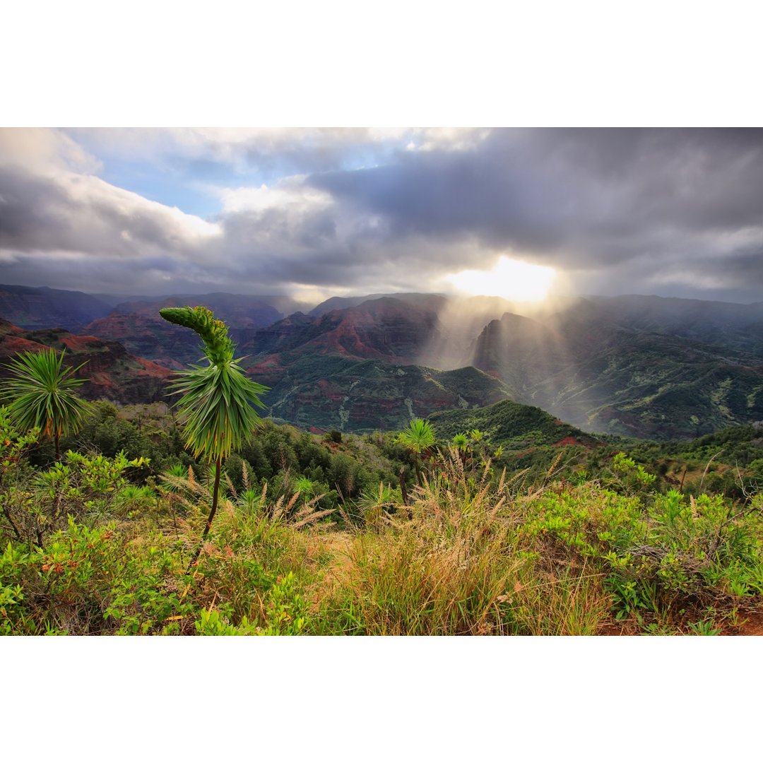 Waimea Canyon In Kauai, Hawaii Islands.