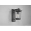 Evelore Outdoor Armed Sconce