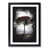 Black Framed