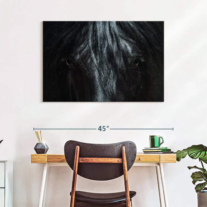 Gros plan sur un cheval noir Brampt, H 26 po x l 39 po
