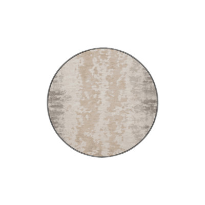 Machine Washable Gray Area Rug
