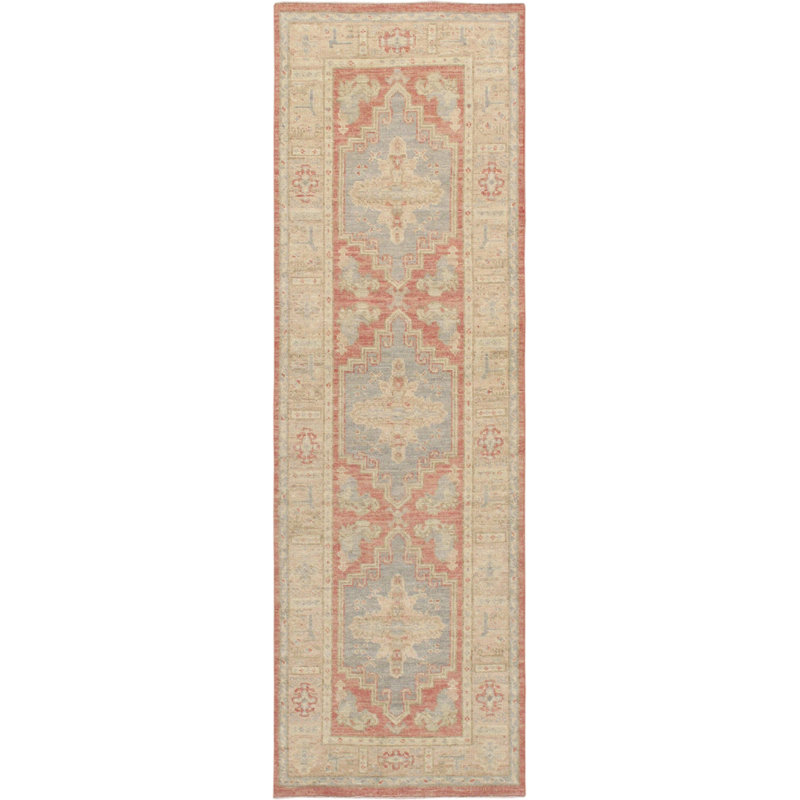 Oriental Area Rug in Coral