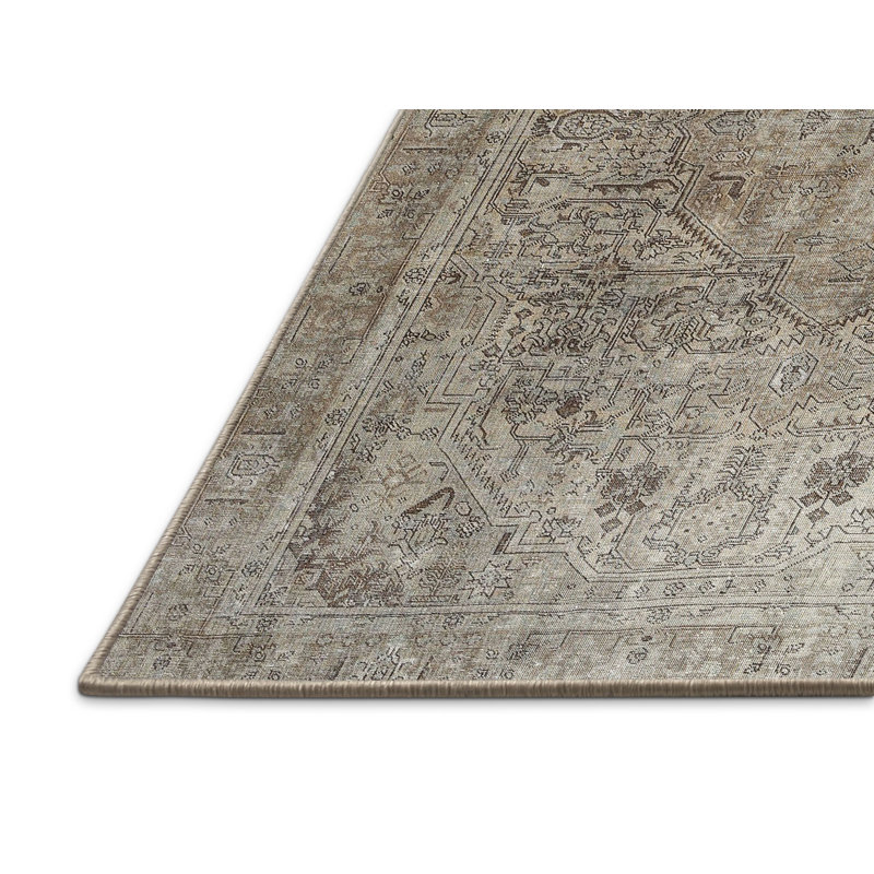 Ashmont Oriental Indoor Rug, Rectangle 8' x 12'